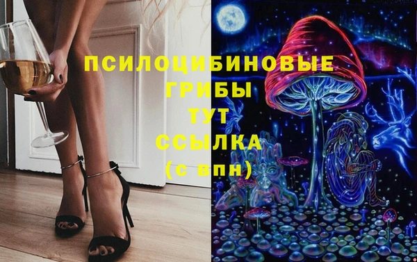 прущий лед Алексин